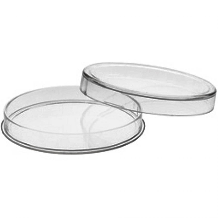 What is the diameter of the coin capsule?