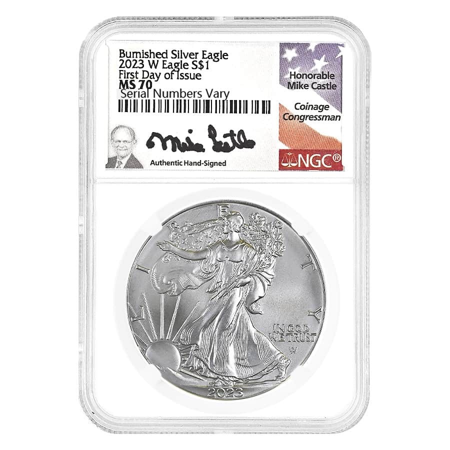 2023-W 1 oz Burnished Silver American Eagle NGC MS 70 FDOI (Castle) Questions & Answers
